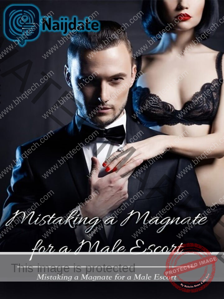 Mistaking a Magnate for a Male Escort